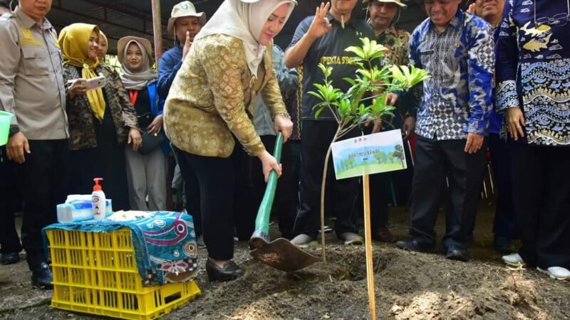 Momen Peringatan Hari Lingkungan Hidup Dunia, Bupati Musi Rawas Tanam Pohon di Hutan Pelangi
